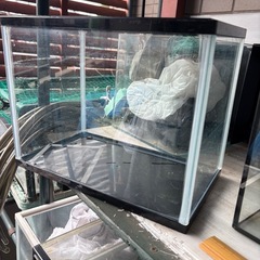 水槽色々500円ー〜の画像