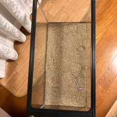 【現状渡し】60cm 水槽の画像