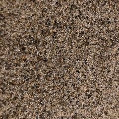 【現状渡し】60cm 水槽の画像