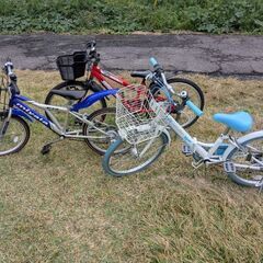 自転車　ミヤタ　子供　20インチの画像