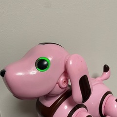 ロボパピー　フレンドリー　の画像