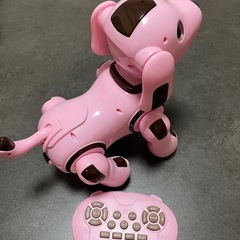 ロボパピー　フレンドリー　の画像