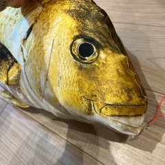 決定【お譲りします】金色鯛のぬいぐるみの画像