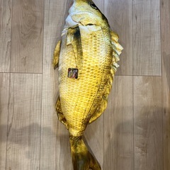 決定【お譲りします】金色鯛のぬいぐるみの画像