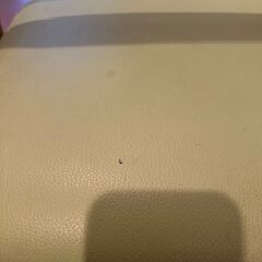 【差し上げます】コイズミ　学習椅子　の画像