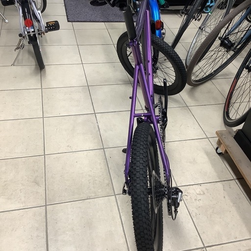 TERN ターン　ミニベロ　自転車　
AMP F1 2024年モデル