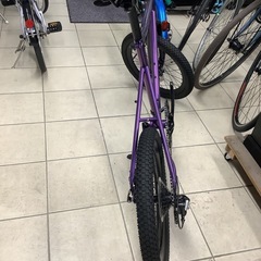 TERN ターン　ミニベロ　自転車　
AMP F1 2024年モデルの画像