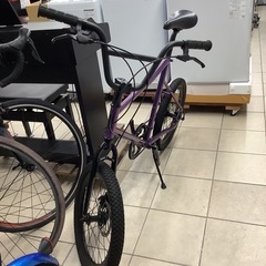 TERN ターン　ミニベロ　自転車　
AMP F1 2024年モデルの画像