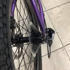 TERN ターン　ミニベロ　自転車　
AMP F1 2024年モデルの画像