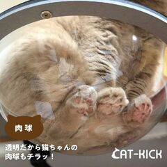 Cat-Kick 透明 ボウル ロケット ハンモック（穴あけ不要、工具不要）の画像