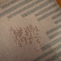 ラグ　カーペット　unicoの画像