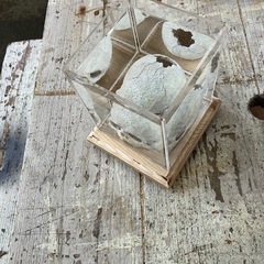 水槽関連　アクリル水槽、水槽台　骸骨、ベタ用の画像