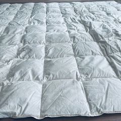 こたつ布団の画像