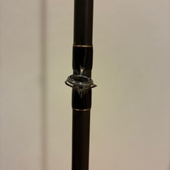 
テムジンワイルドスタリオンの画像