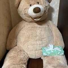 クマ ぬいぐるみの画像