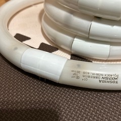 蛍光灯（条件付き無料）の画像