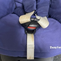 マキシコシ２waypearlの画像