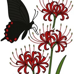 オリジナル塗り絵集の画像