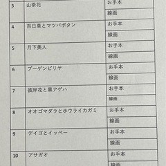 オリジナル塗り絵集の画像