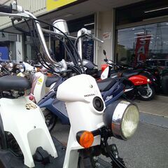 NO.5562　バイト (BITE)　水冷4サイクルエンジン　ホワイト　☆彡の画像