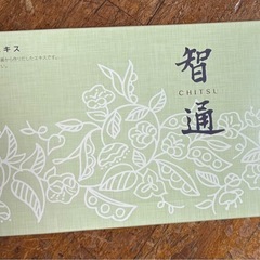 乳酸菌生成エキス【智通】の画像