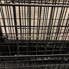 小動物ケージの画像