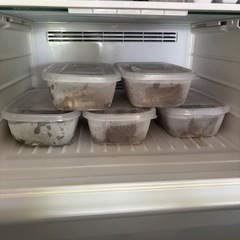 漁師直売足赤えびの画像