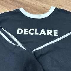 Lサイズ トップスの画像