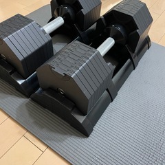 アジャスタブルダンベル　可変式ダンベル　36kg 2個セット　ハイガー産業の画像