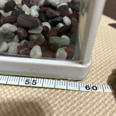 テトラ　ホワイト６０センチ水槽の画像