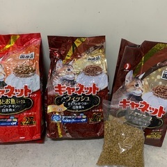 キャットフード 猫の餌の画像