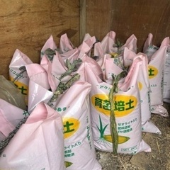 自家製もみ殻くん炭　籾殻　ガーデニング　家庭菜園にの画像