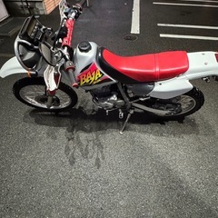 (希少車)XR250 BAJA の画像
