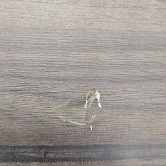 ✨️ジモティー割引✨️【ジャングルジャングル堺初芝店】 デスク・キャビネットセット　堺市（東区　西区　北区　南区　堺区　美原区）高石市　泉大津市　忠岡町　和泉市　松原市　大阪狭山市の画像