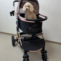 ペットカートの画像