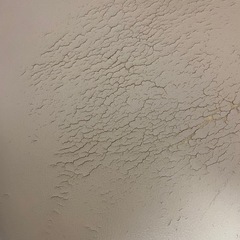 ニトリの椅子　無料て差し上げますの画像