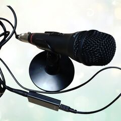 🉐🌈SONYコンデンサーマイクロホン USB ECM-PCV80U🌈の画像