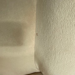 ローソファーの画像