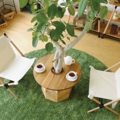 テーブルプランターの画像