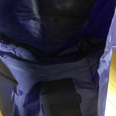 JAL ノベルティ　東京ディズニーランド　21周年　ツアー記念品　トートバッグの画像