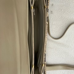 パイソン柄バッグ メーカー不明　鱗ハゲかけありの画像