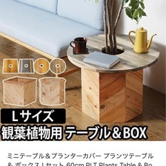 テーブルプランターの画像