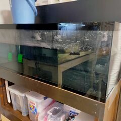 120㎝水槽セットの画像