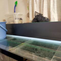 120㎝水槽セットの画像