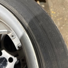 シャティッヒプレシャスの画像