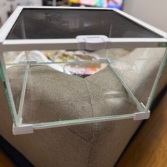 グラスゾーン30の画像