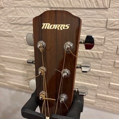 Morris F-12TS 単版スプルース　　モーリス　トリプルオーサイズの画像