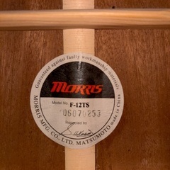 Morris F-12TS 単版スプルース　　モーリス　トリプルオーサイズの画像