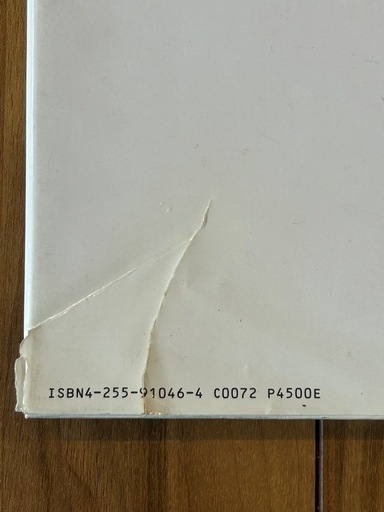 宮沢りえ Santa Fe