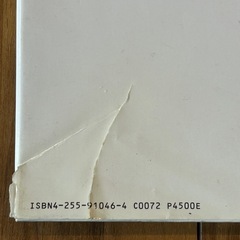 宮沢りえ Santa Feの画像